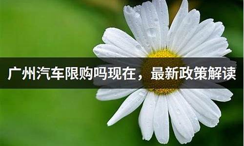 广州汽车限购政策2020_广州汽车限购政策最新2023年度