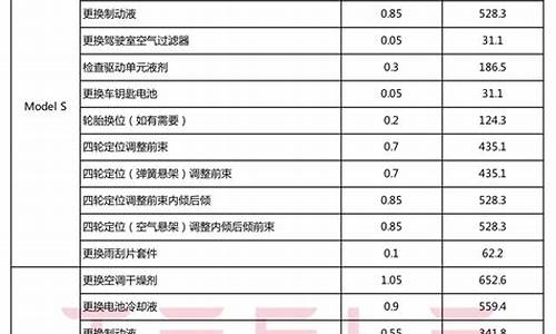 特斯拉保养明细_特斯拉维修保养记录查询